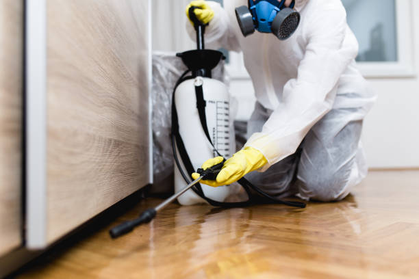 Best Bed Bug Extermination  in Placentia, CA