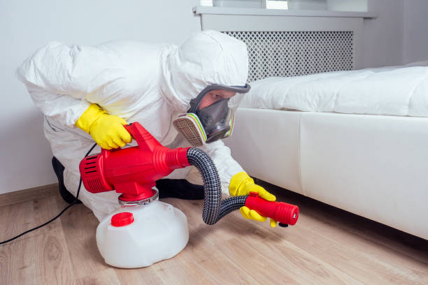 Professional Pest Control in Placentia, CA